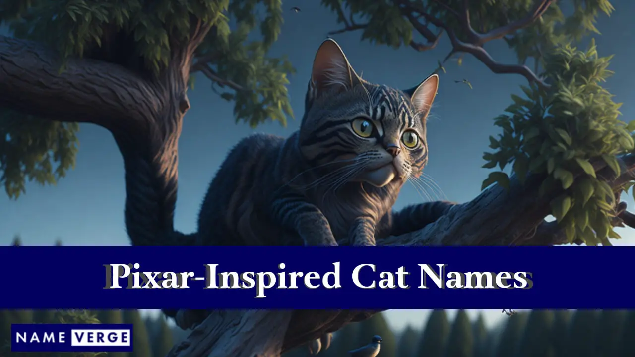 Nomi di gatti ispirati alla Pixar