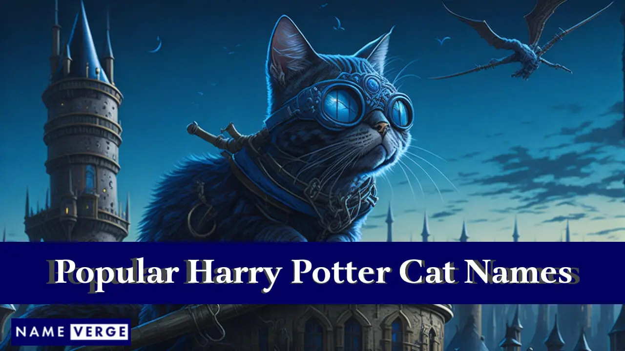 Nomi popolari per gatti di Harry Potter