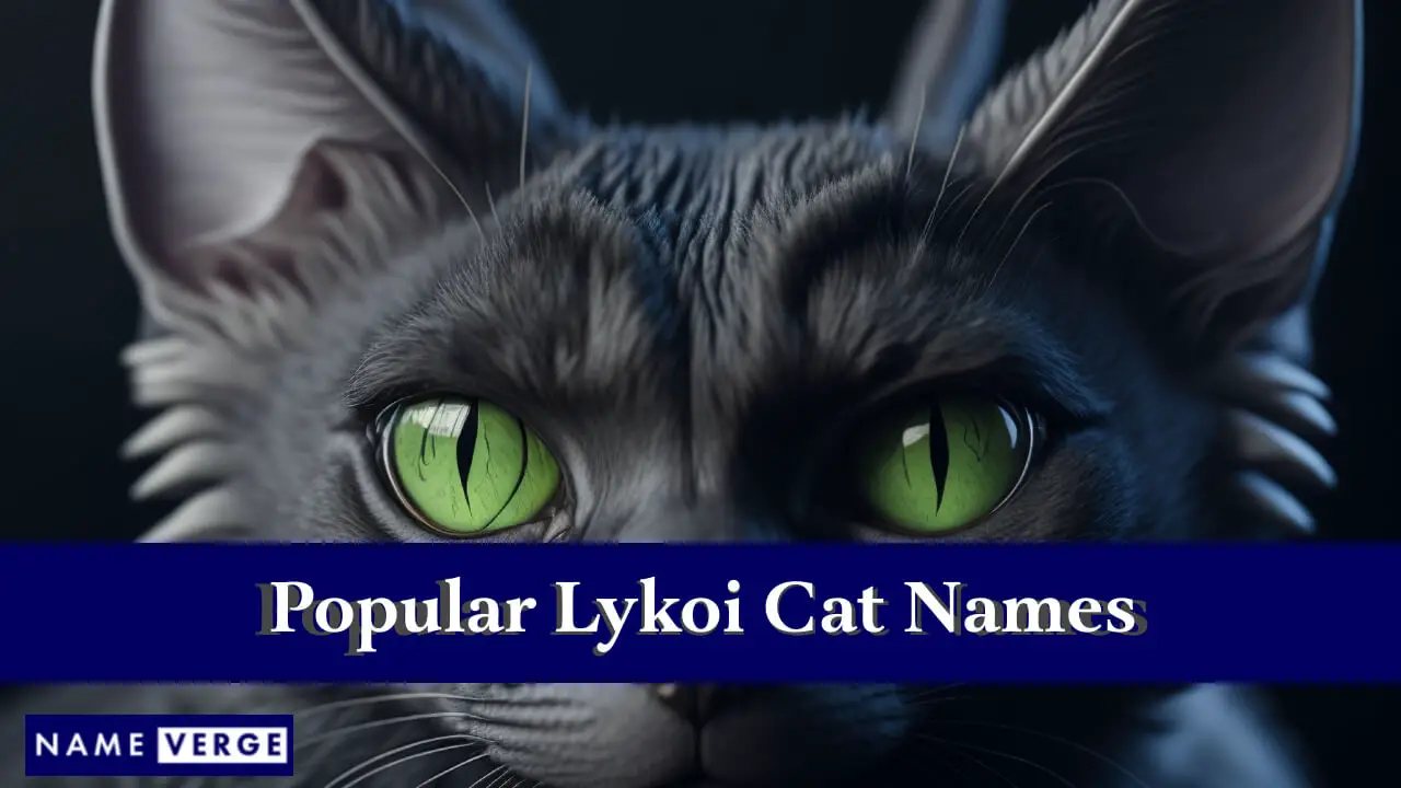 Nomi popolari di gatti Lykoi