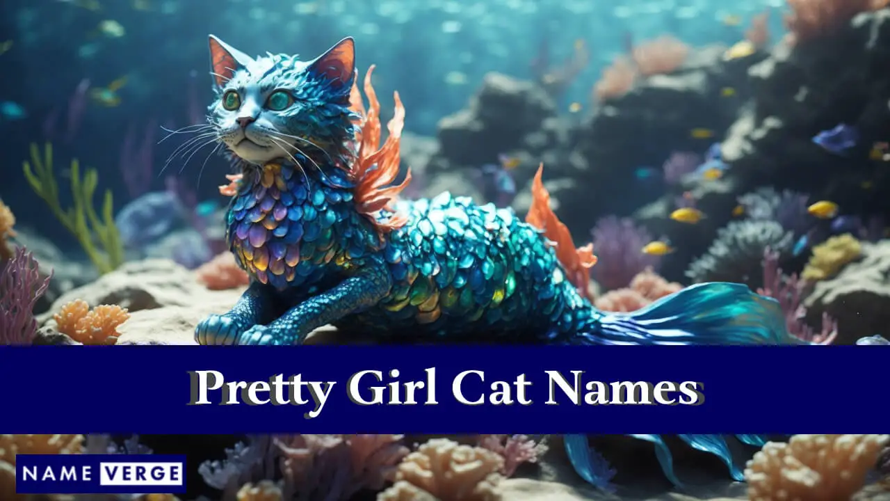 Nomi di gatti per ragazze carine