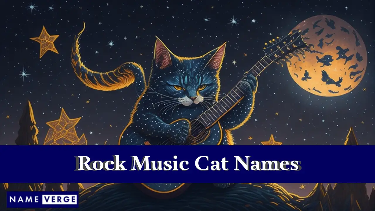 Nomi di gatti di musica rock