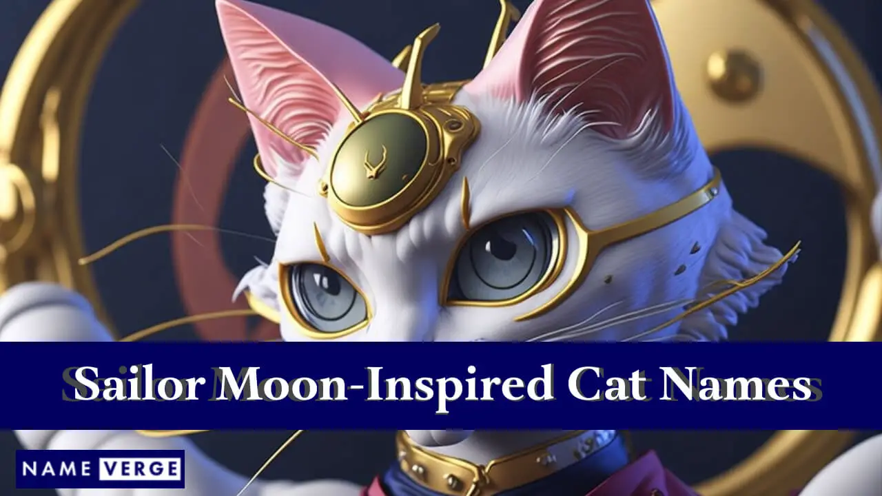Nomi di gatti ispirati a Sailor Moon