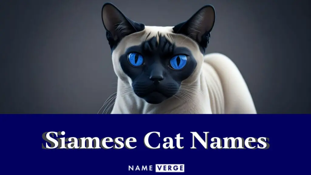 siamese cat names