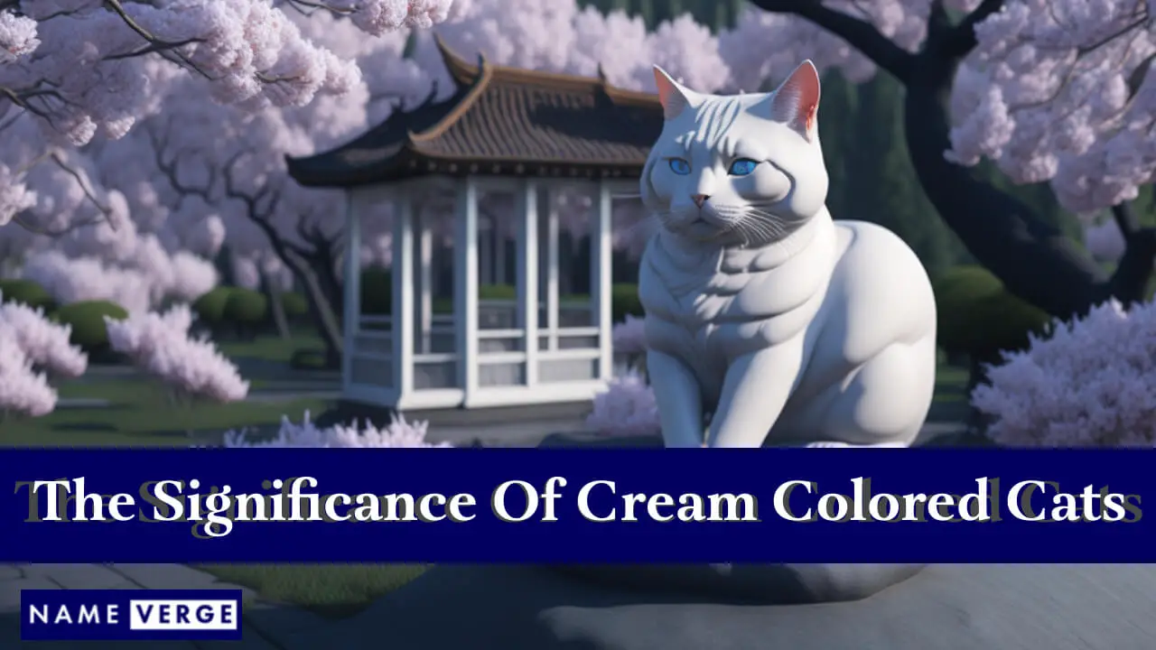 Il significato dei gatti color crema