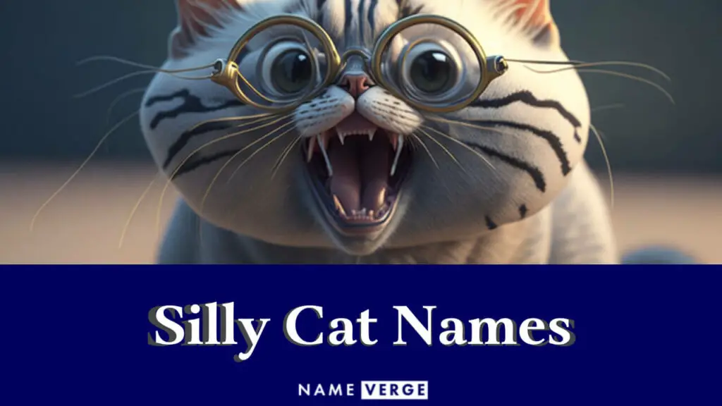 silly cat names