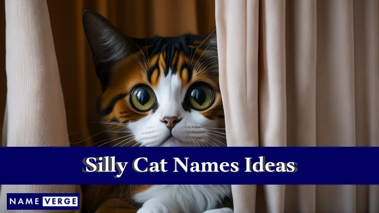 Idee per nomi di gatti sciocchi