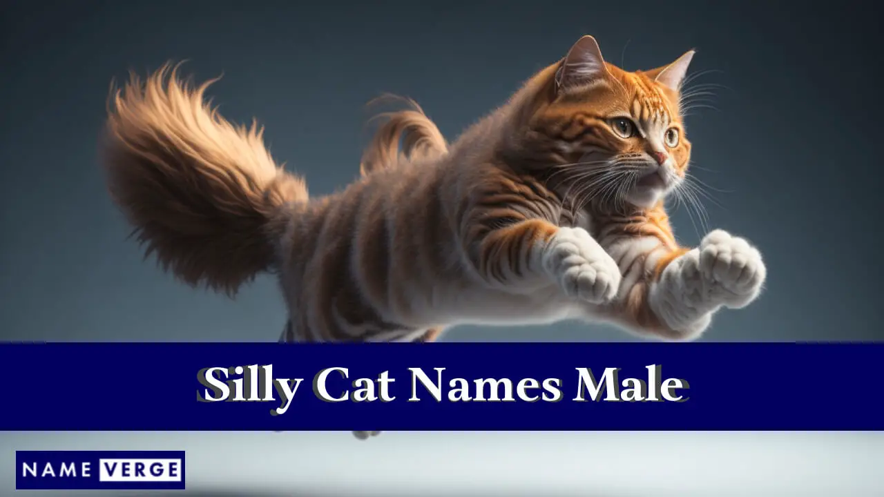 Nomi di gatti sciocchi maschi