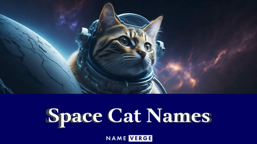 space cat names