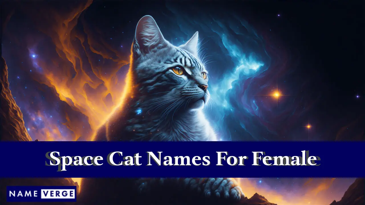 Nomi di gatti spaziali per donne