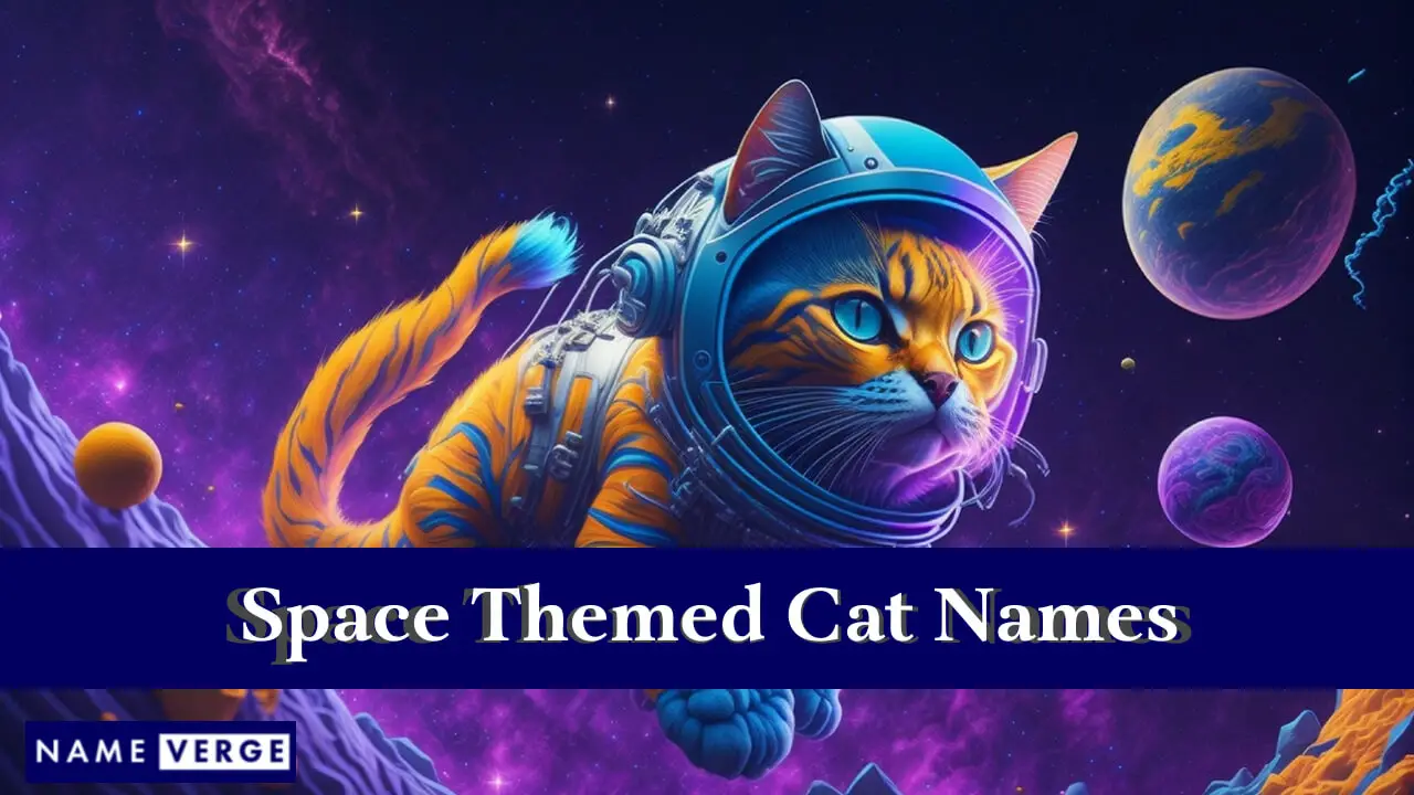 Nomi per gatti a tema spaziale