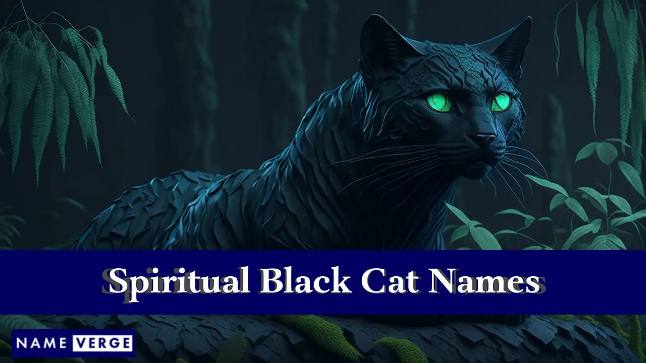 Nomi spirituali di gatti neri