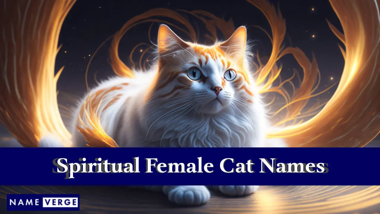 Nomi di gatti femminili spirituali