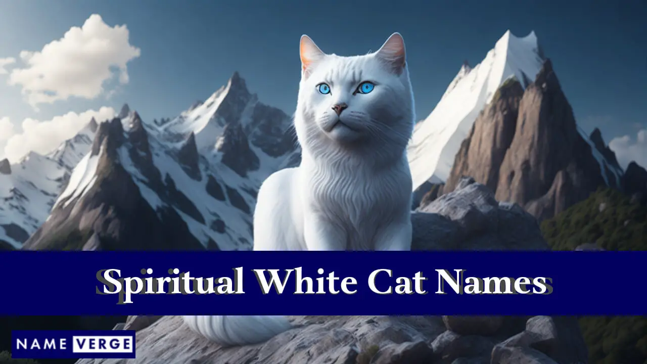Nomi spirituali di gatti bianchi