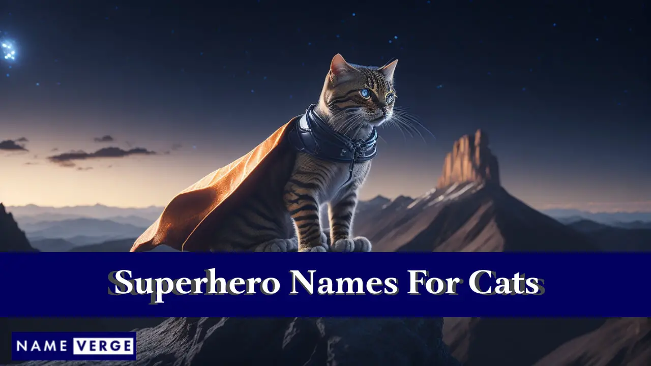 Nomi di supereroi per gatti