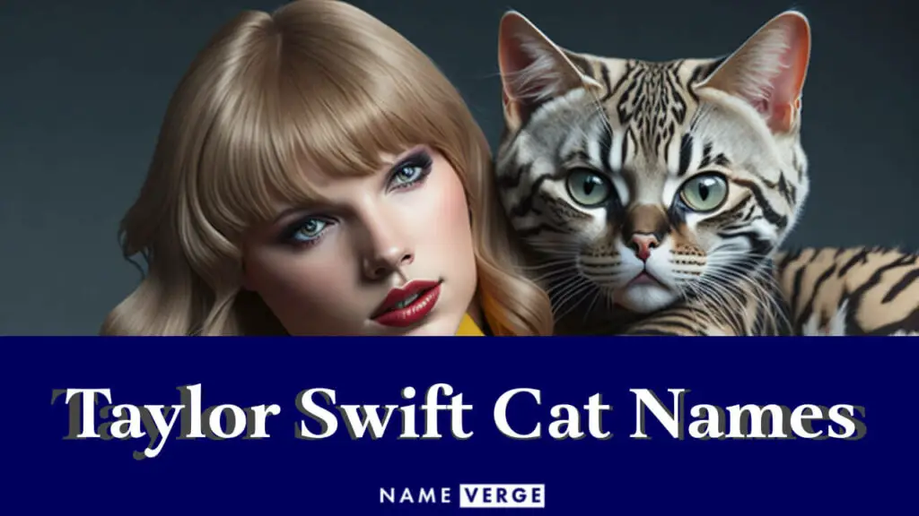 taylor swift cat names