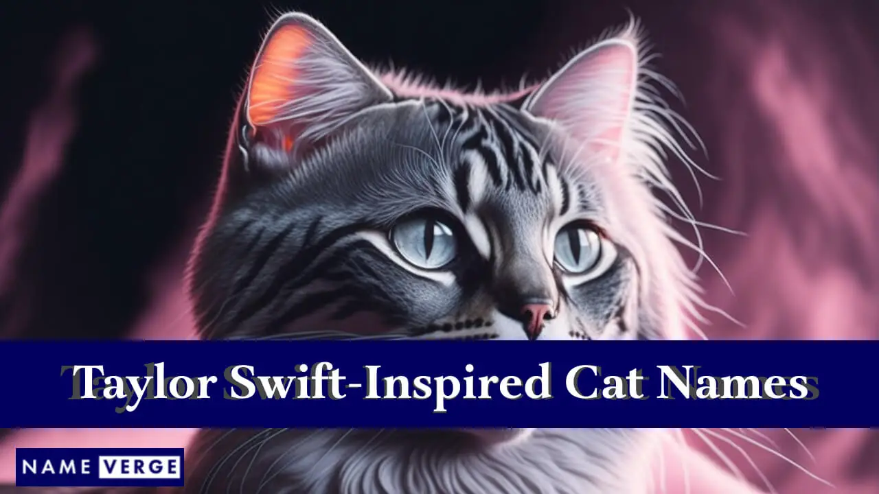 Nomi di gatti ispirati a Taylor Swift