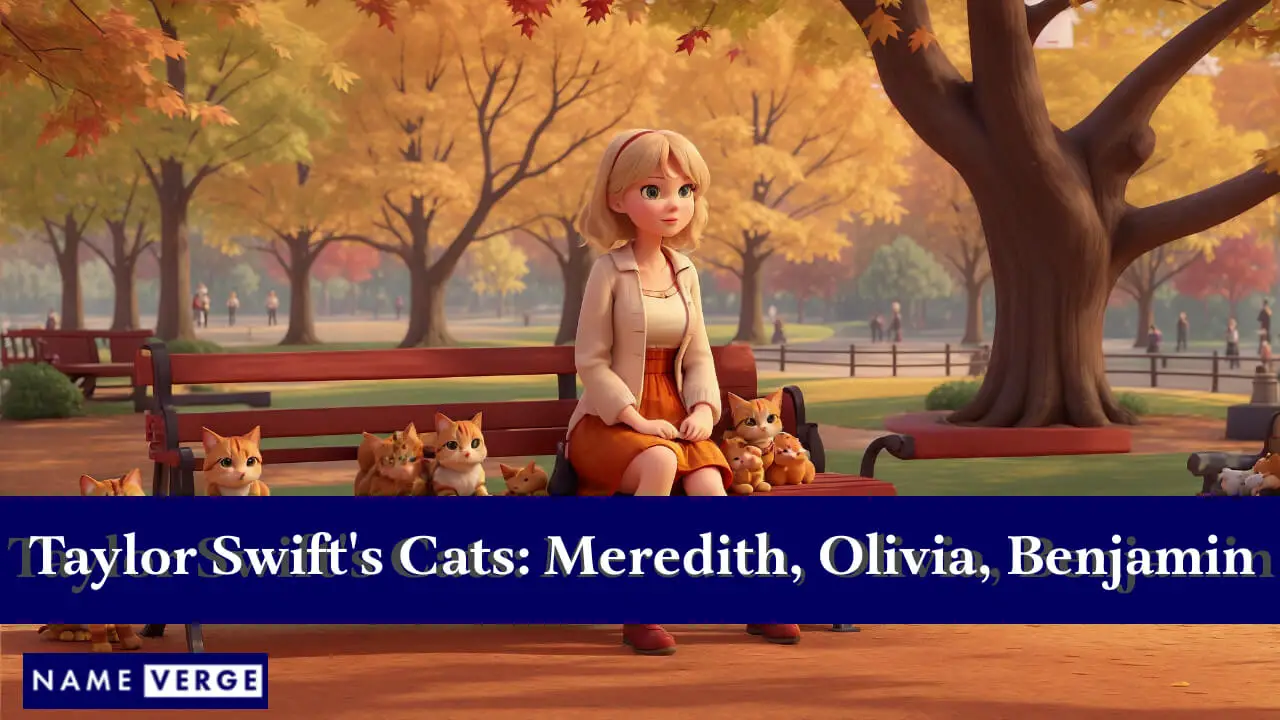 I gatti di Taylor Swift: Meredith Grey, Olivia Benson e Benjamin Button