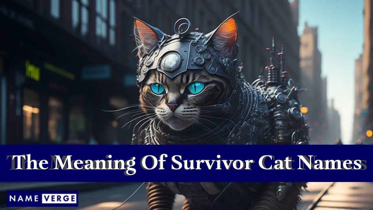 Il significato dei nomi dei gatti sopravvissuti
