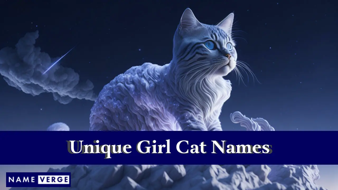 Nomi di gatti per ragazze unici