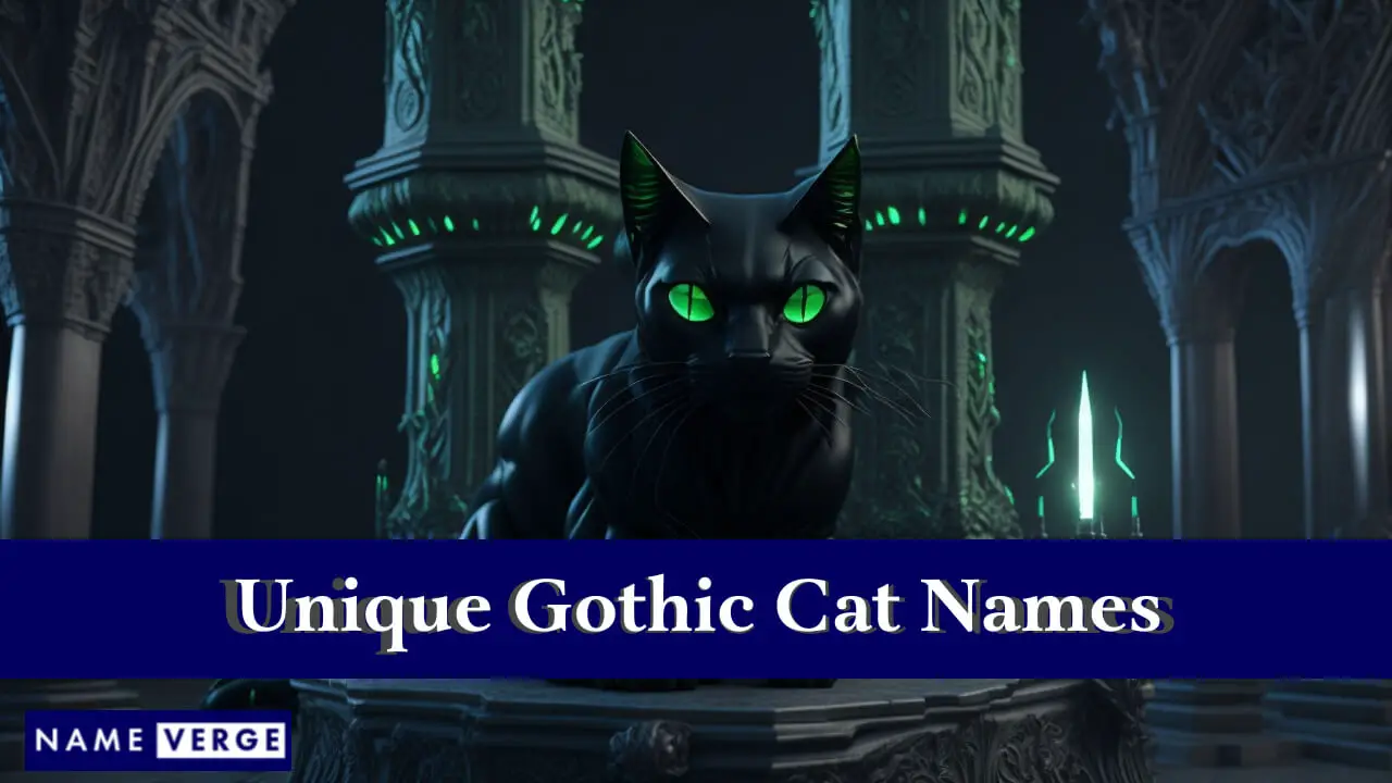 Nomi di gatti gotici unici
