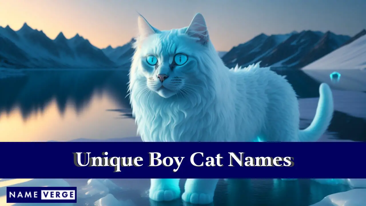 Nomi di gatti maschi unici