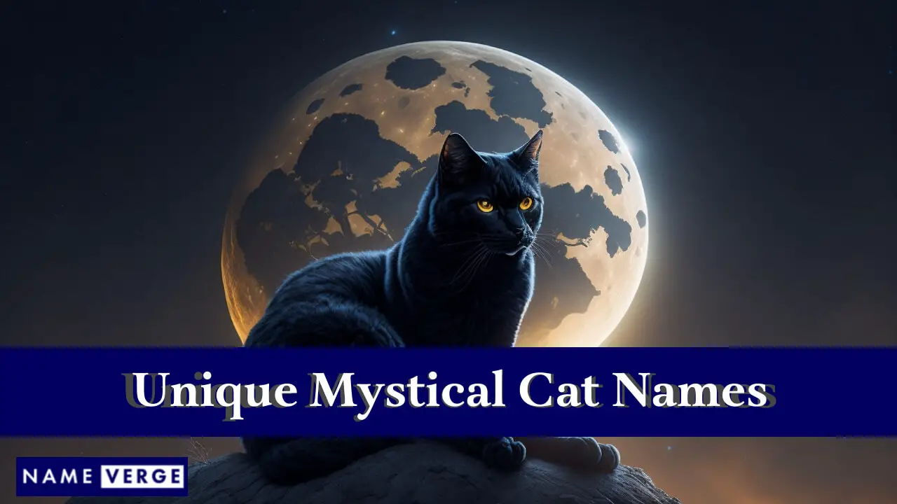 Nomi di gatti mistici unici