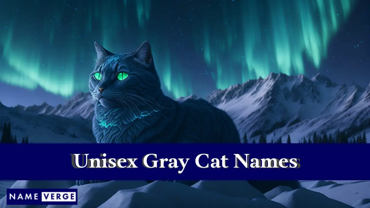 Nomi di gatti grigi unisex