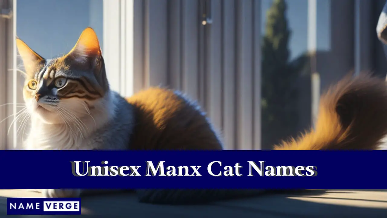 Nomi di gatti Manx unisex
