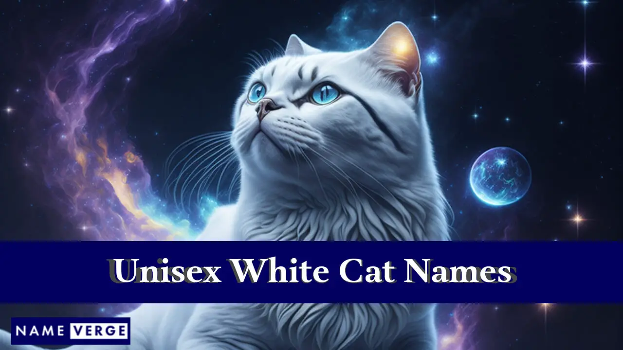 Nomi di gatti bianchi unisex