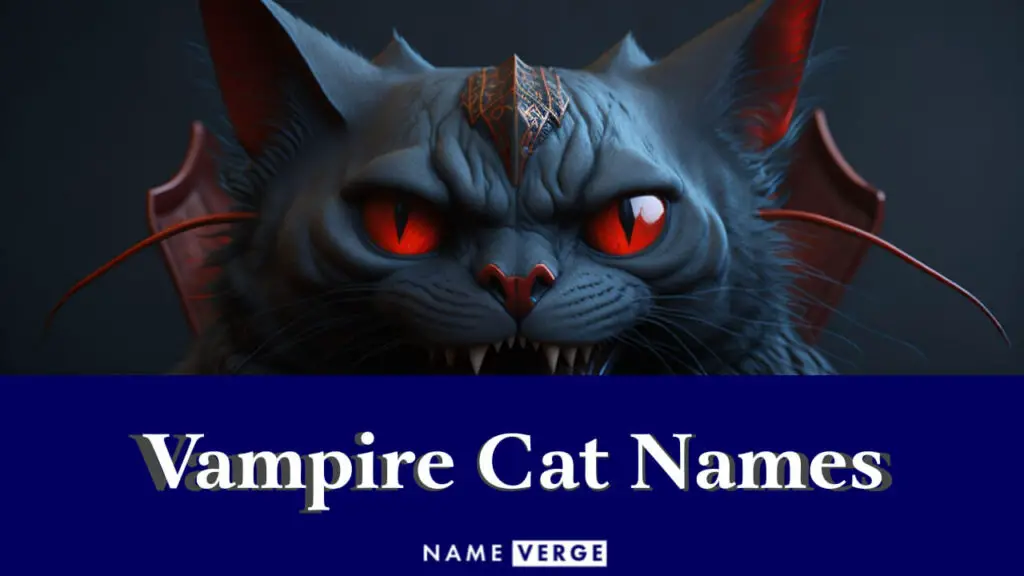vampire cat names