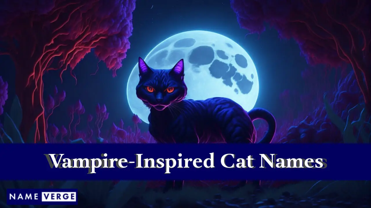 Nomi di gatti ispirati ai vampiri