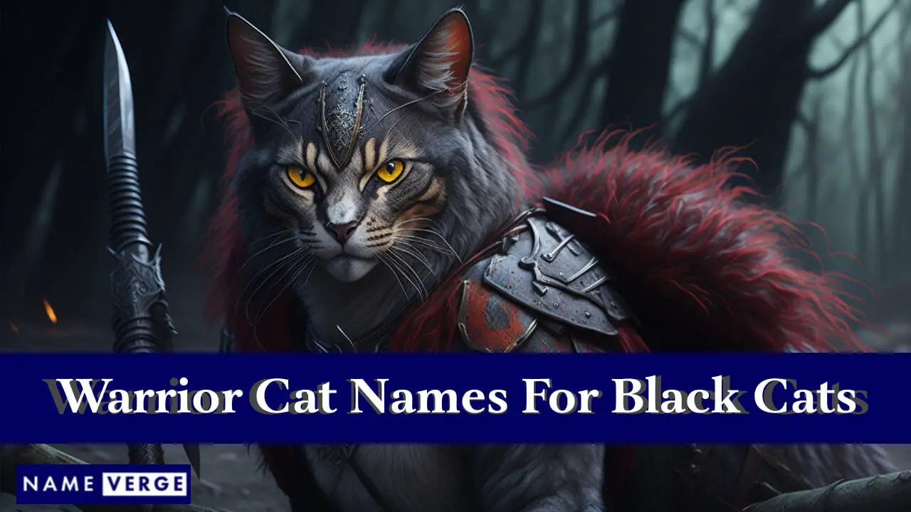 Il gatto guerriero nomina i gatti neri