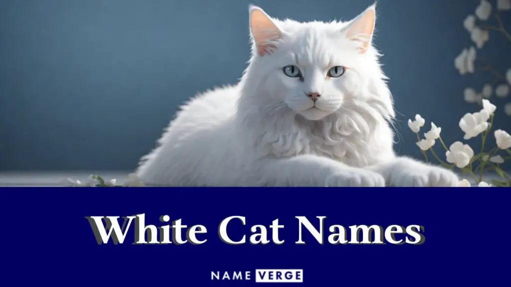 white cat names