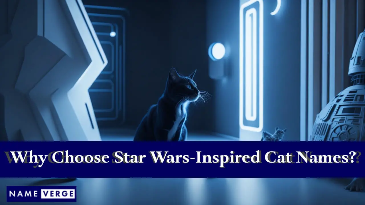 Perché scegliere nomi di gatti ispirati a Star Wars?