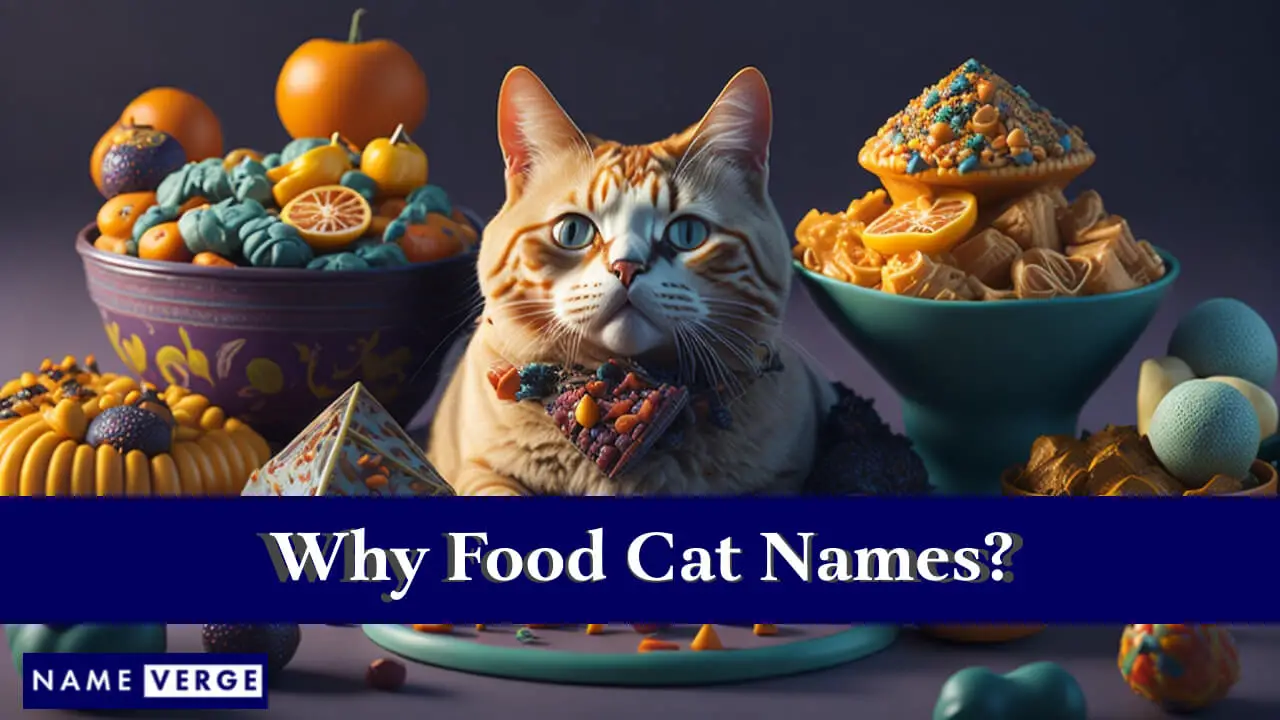 Perché i nomi dei gatti da mangiare?