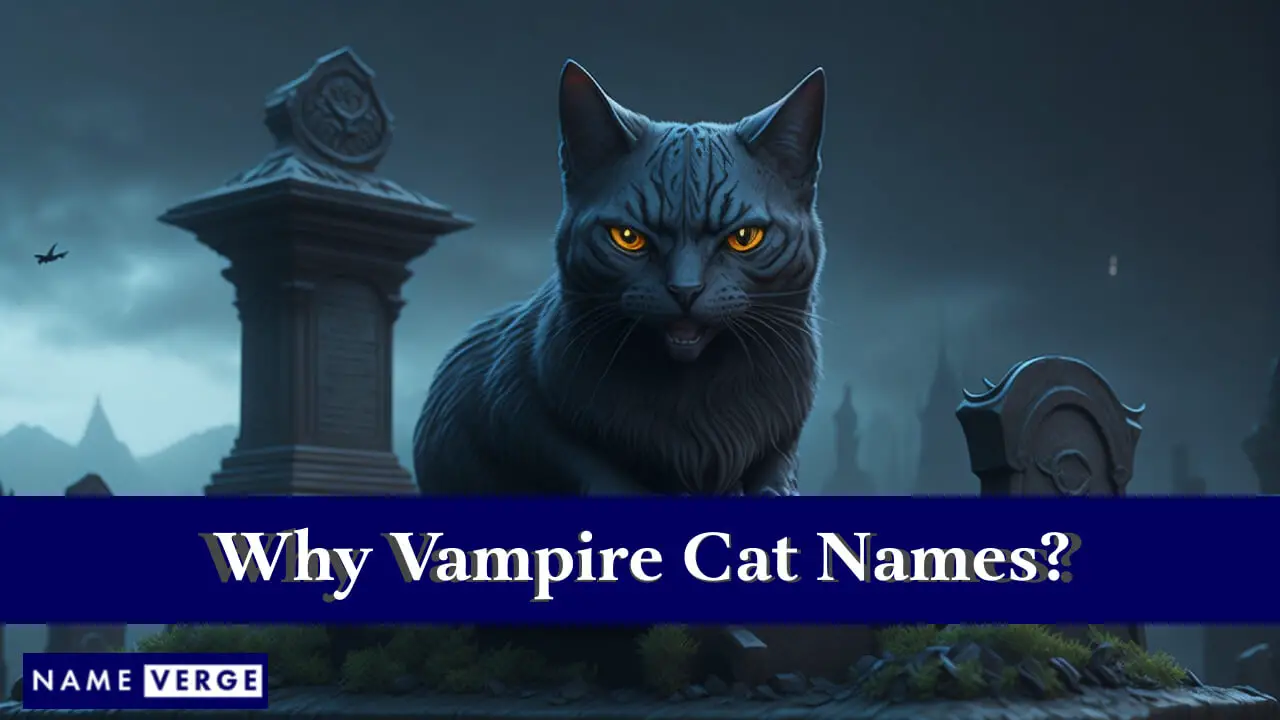 Perché nomi di gatti vampiri?