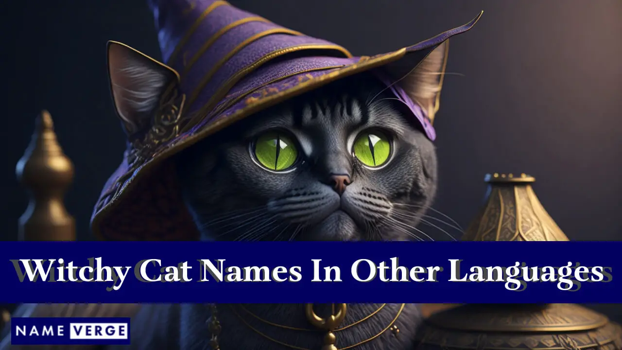 Nomi di gatti stregati in altre lingue