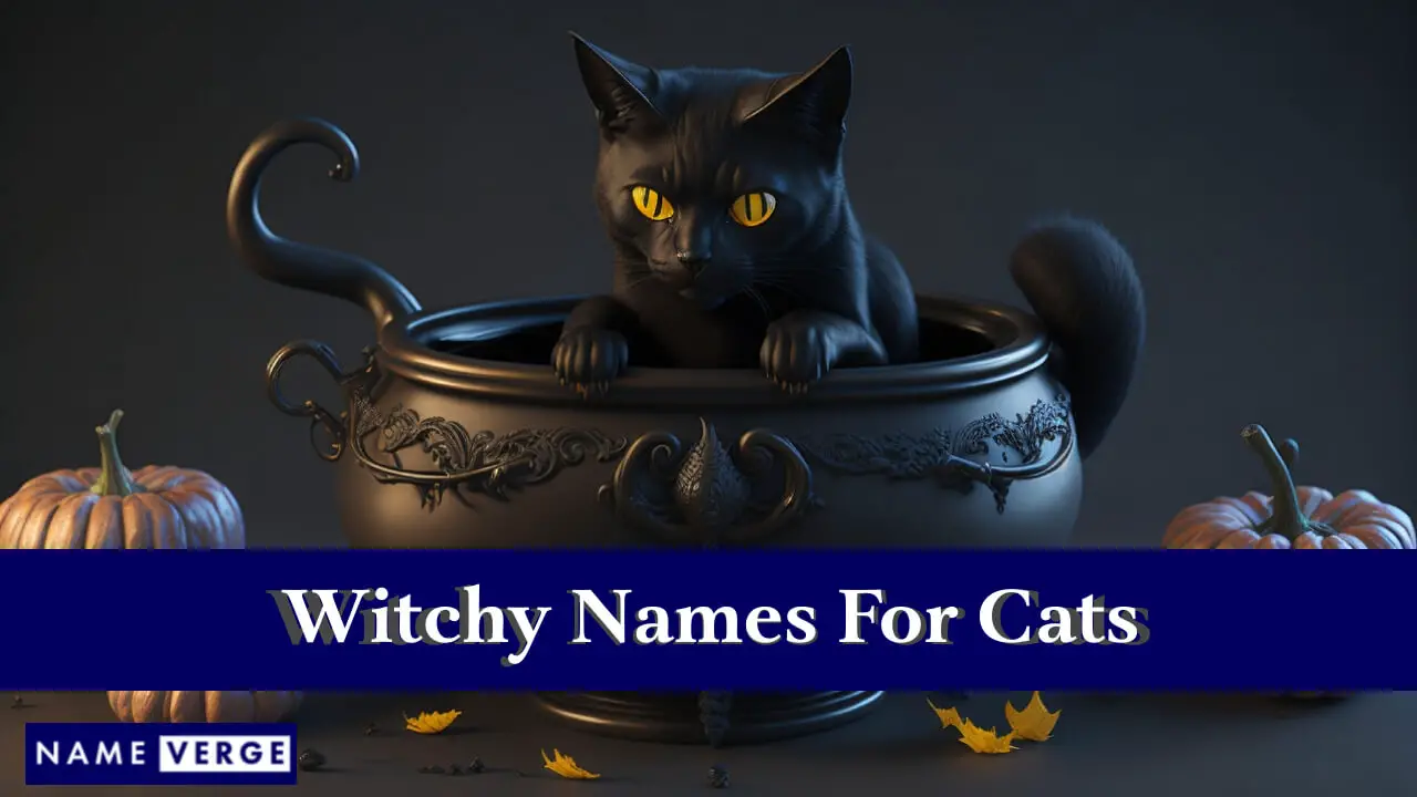 Nomi da strega per gatti