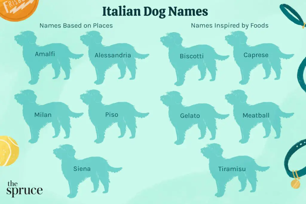 Italian dog names 50249122 481a8e685313411191ba1cf4458d3c9e