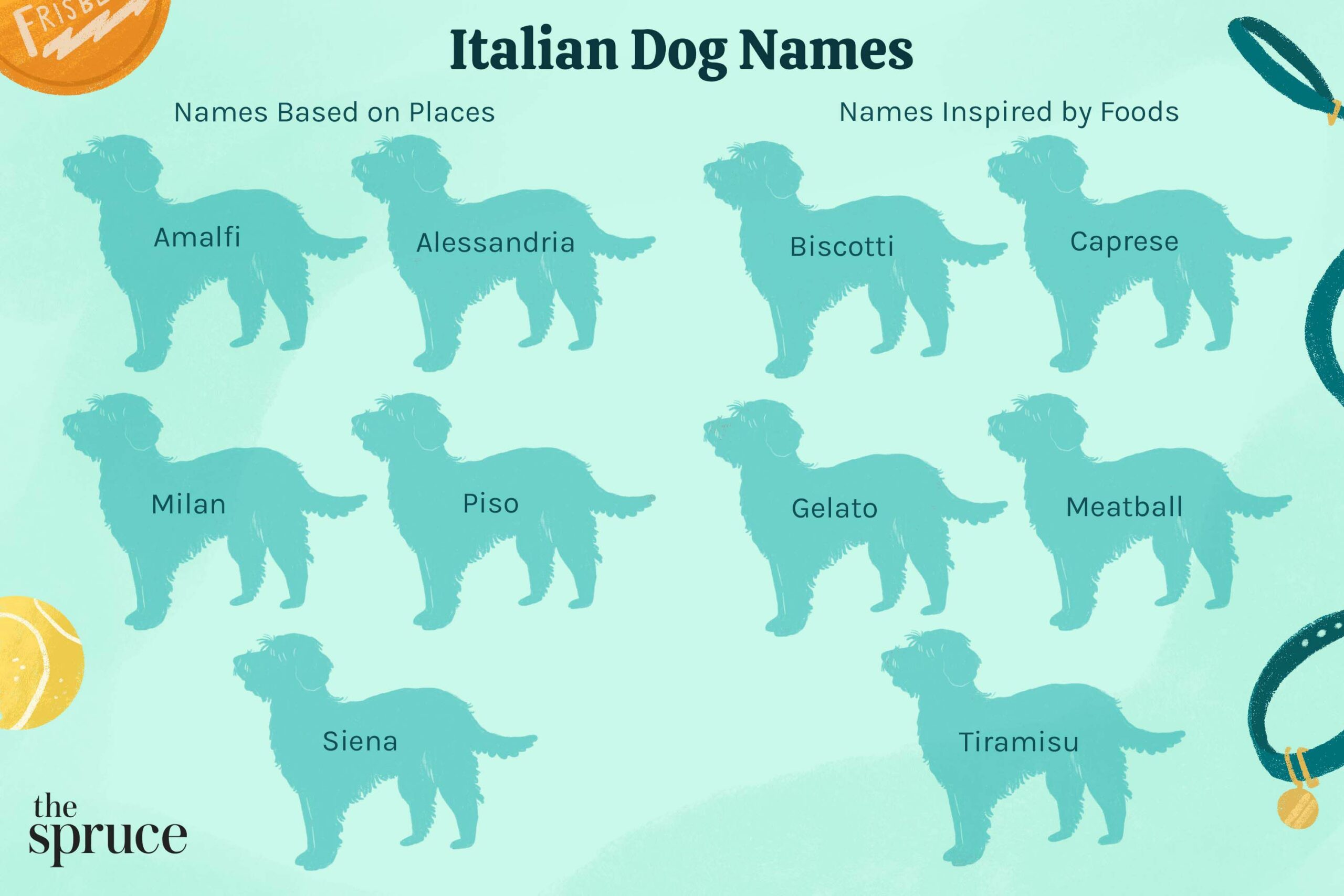 Italian dog names 50249122 481a8e685313411191ba1cf4458d3c9e scaled