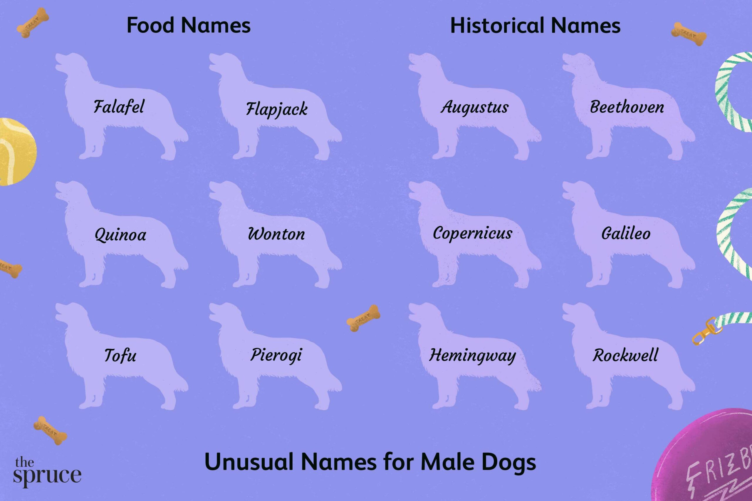 Unusual names for male dogs 48432382 4d88883d74264924ac8a5548b877e1c4 scaled