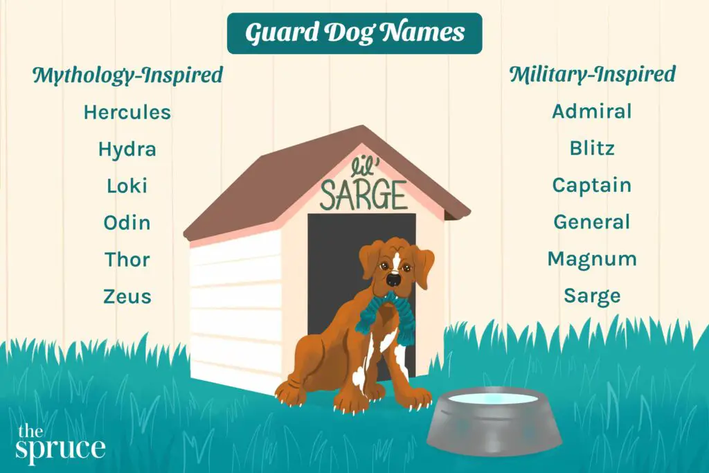 guard dog names 4845528 color 3d123c50ce2846c5bc3562152a895679