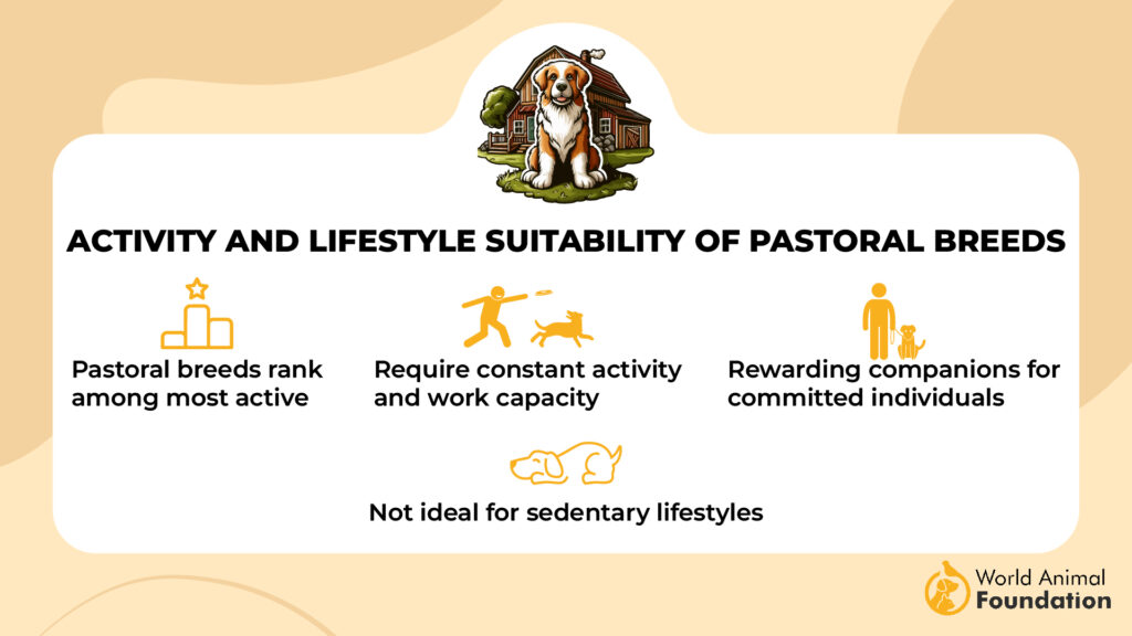 Idoneità all'attività e allo stile di vita delle razze pastorali