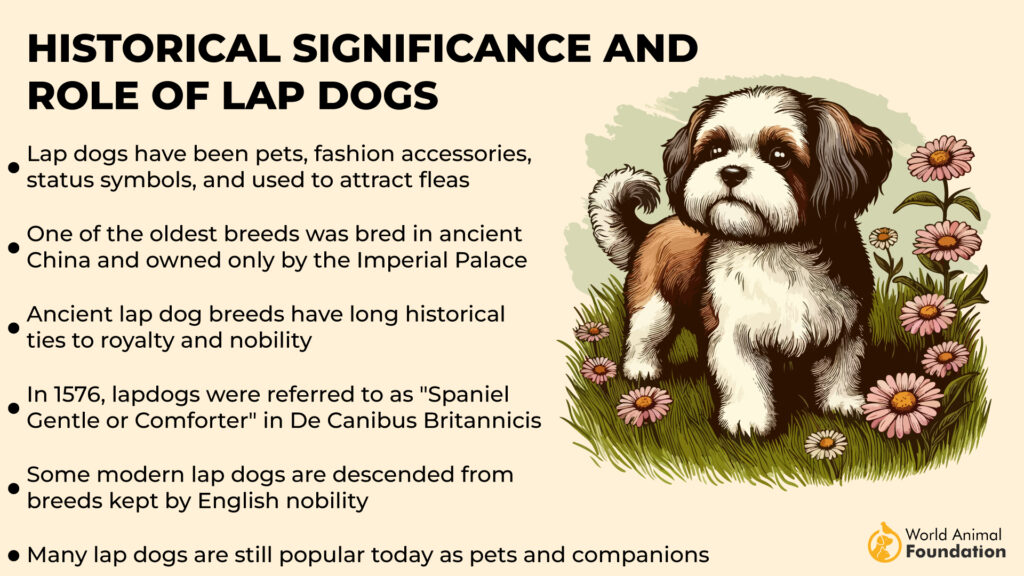 Significato storico e ruolo dei cagnolini