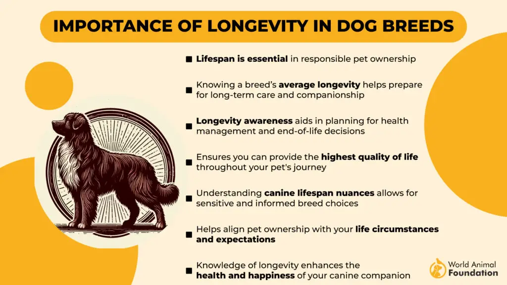 Importanza della longevità nelle razze canine