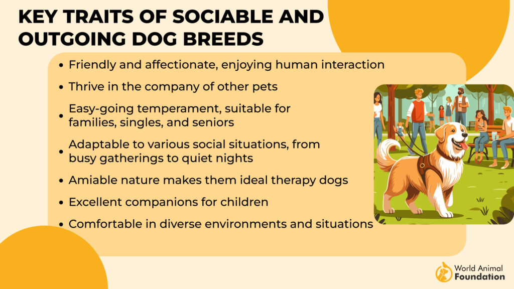 Tratti chiave delle razze canine socievoli ed estroverse