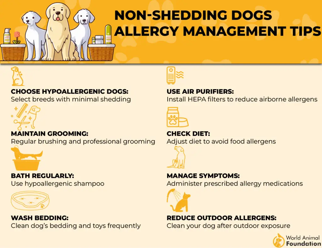 Suggerimenti per la gestione delle allergie nei cani che non perdono il pelo