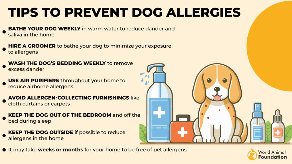 Suggerimenti per prevenire le allergie nei cani