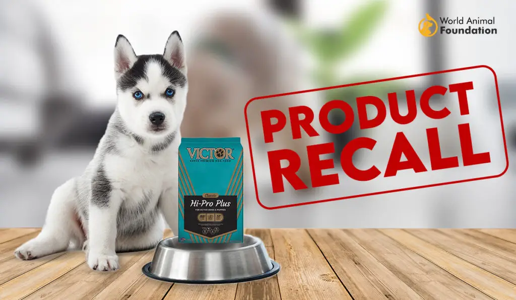 1732628419 Victor Dog Food 1