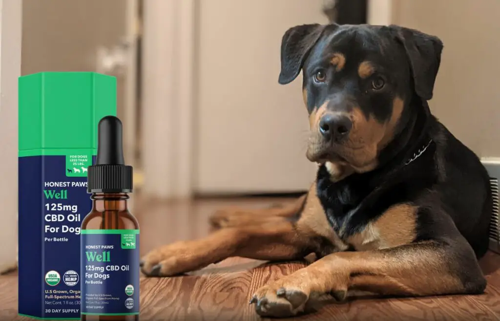 Olio di CBD Honest Paws